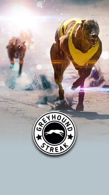 Greyhounds Streak